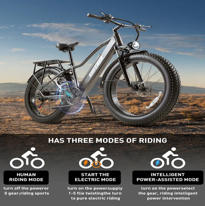Vélo Électrique Tout-Terrain BRUCHDA RX20 – 48V – 1000W – 85Nm – 18Ah – 45km/h – 90 km d’Autonomie